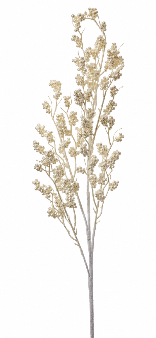 31" PEARL MARSH BERRY BRANCH