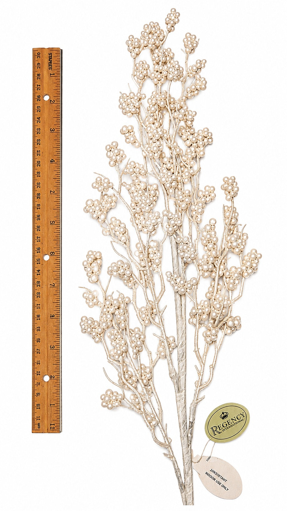 31" PEARL MARSH BERRY BRANCH